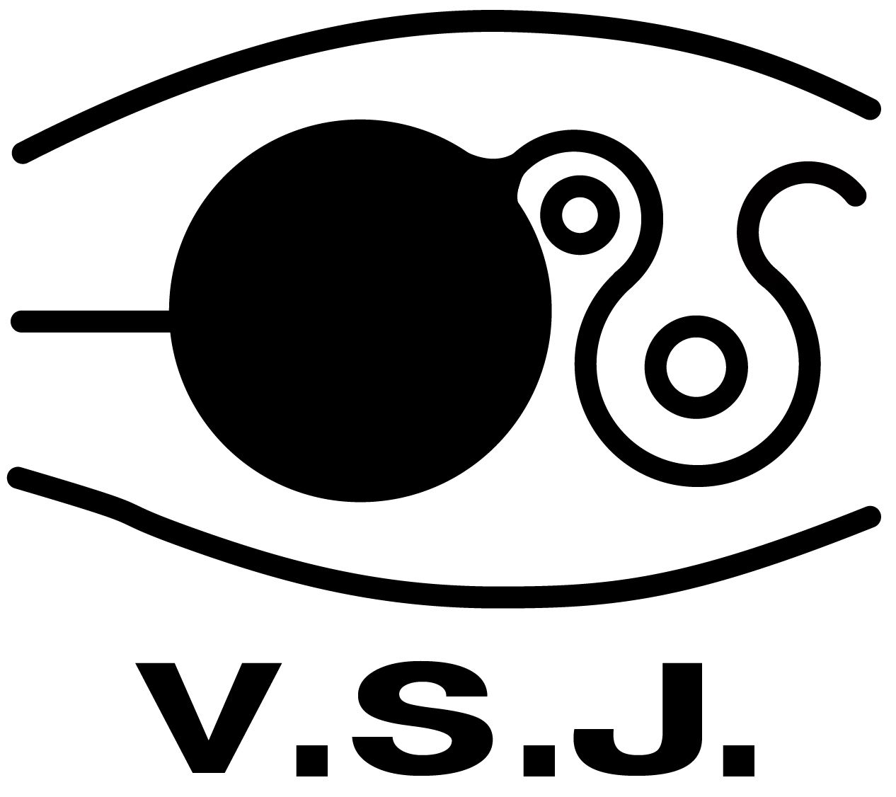 The Visualization Society of Japan (VSJ)